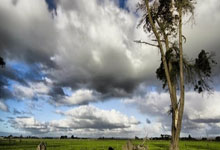 三级欧战16强全部出炉 最终对阵即将揭晓.